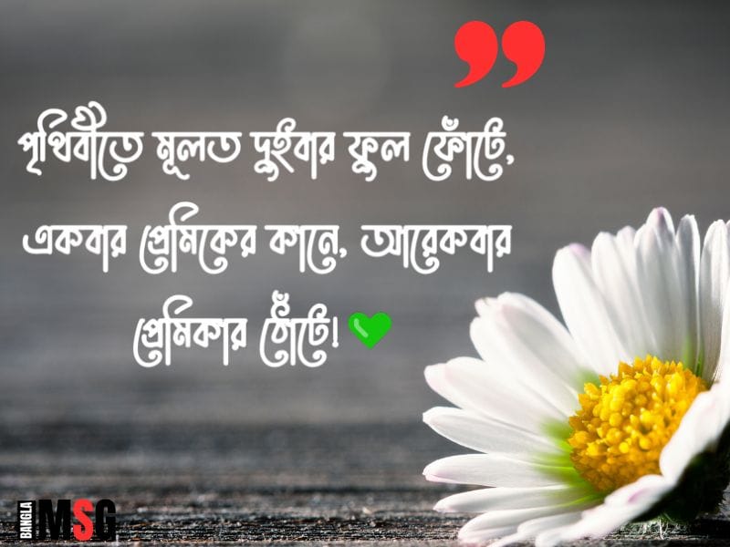 কানে ফুল নিয়ে ক্যাপশন