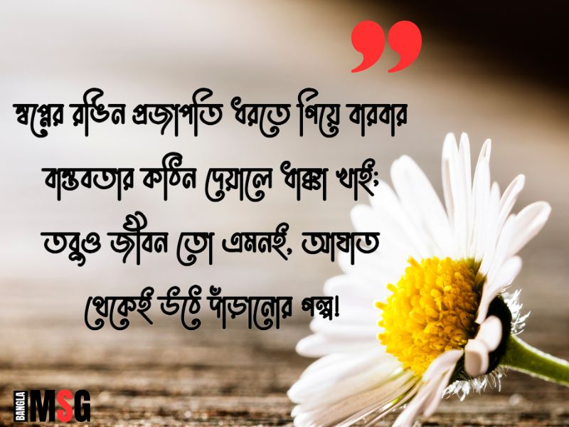 অবাক করা Caption Bangla