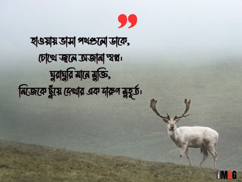 ঘুরাঘুরি বাংলা কবিতা