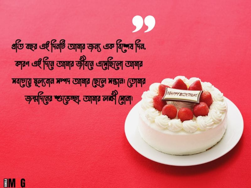 ছেলের জন্মদিনে মায়ের শুভেচ্ছা স্ট্যাটাস