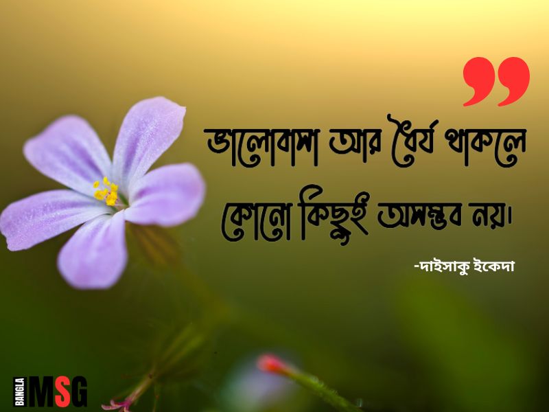 ধৈর্য নিয়ে স্ট্যাটাস