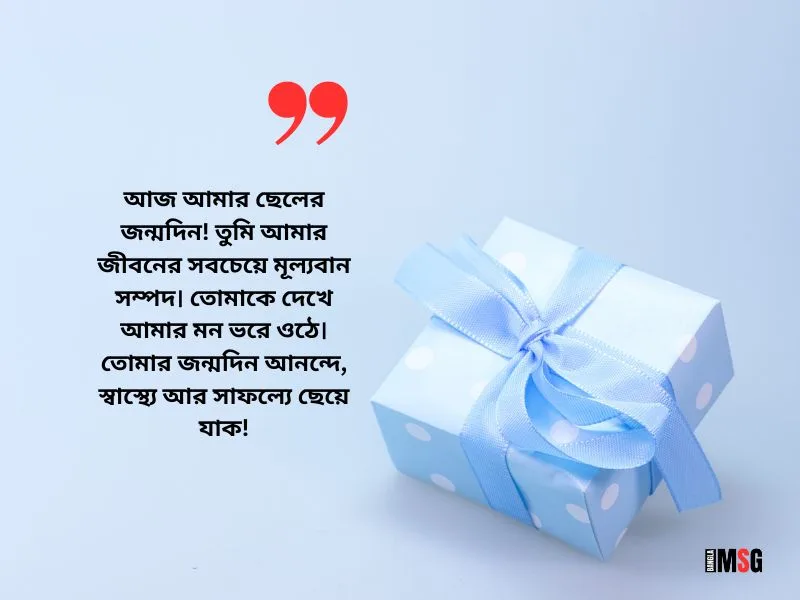 নিজের ছেলের জন্মদিনের মায়ের শুভেচ্ছা