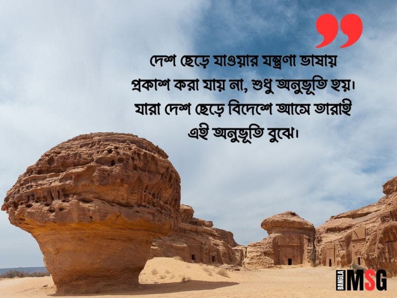 বিদেশ যাওয়ার বিদায় স্ট্যাটাস