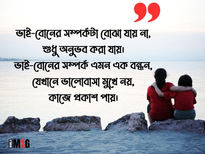 ভাই বোনের ভালোবাসা নিয়ে স্ট্যাটাস