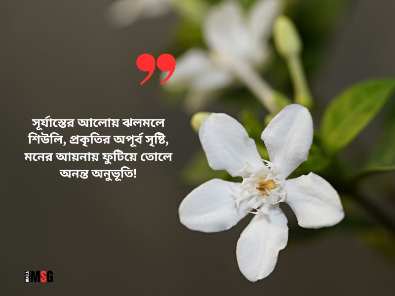 শিউলি ফুল নিয়ে উক্তি