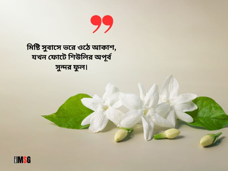 শিউলি ফুল নিয়ে ফেসবুক পোষ্ট