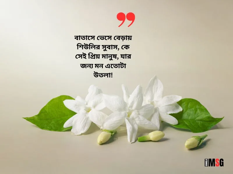 শিশির ভেজা শিউলি ফুল ক্যাপশন