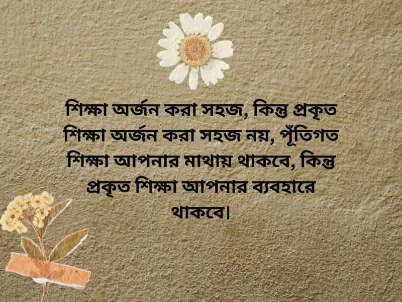 কাঠগোলাপ নিয়ে ছন্দ