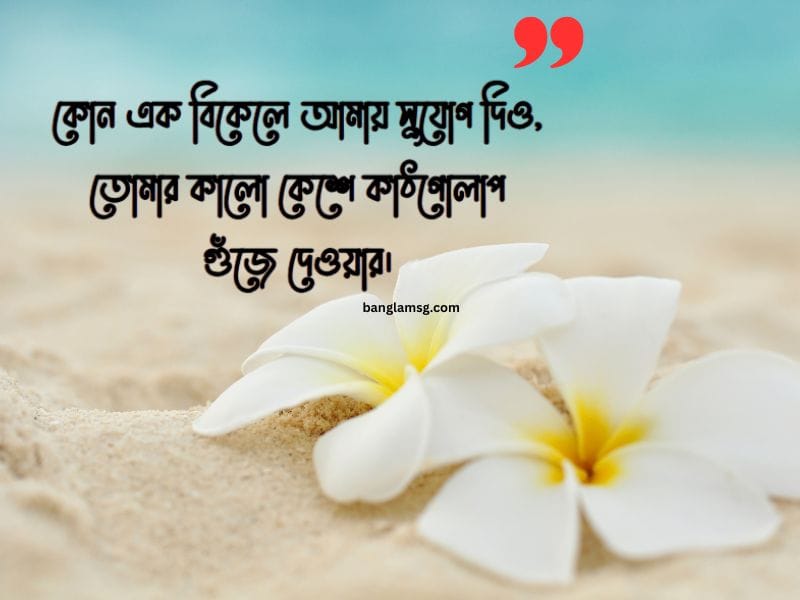 কাঠগোলাপ নিয়ে রোমান্টিক ক্যাপশন