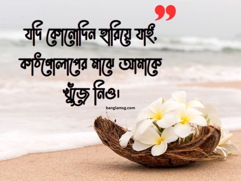 কাঠগোলাপ নিয়ে স্ট্যাটাস