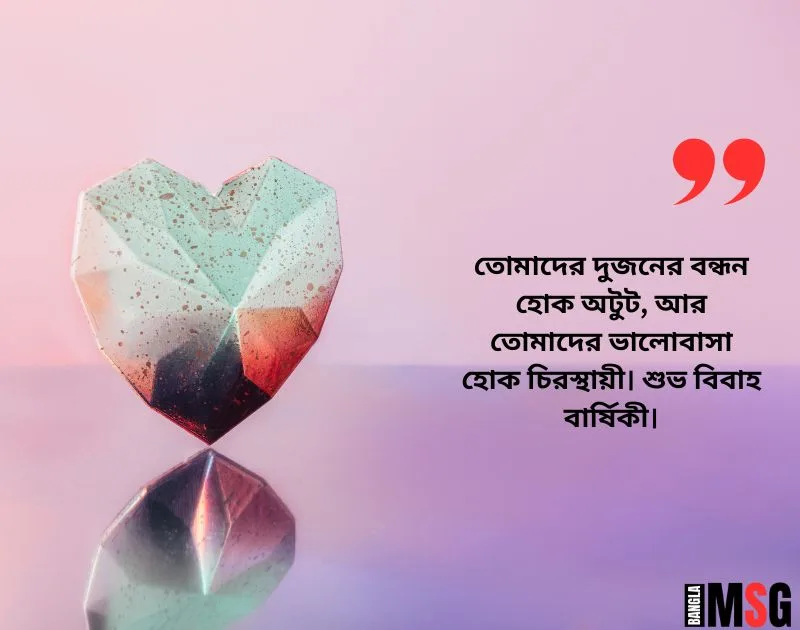 Mushaklarning mushuklari