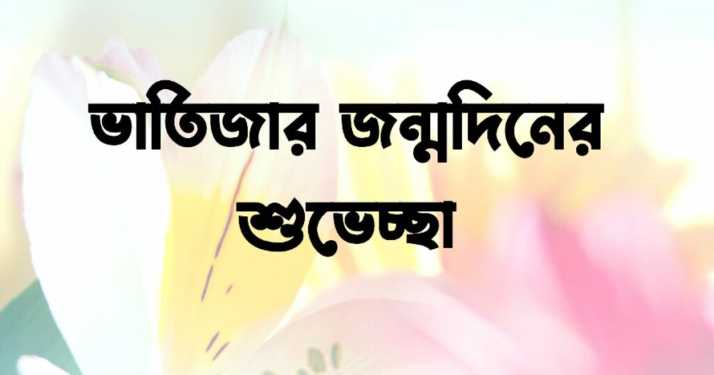 ভাতিজার জন্মদিনের শুভেচ্ছা