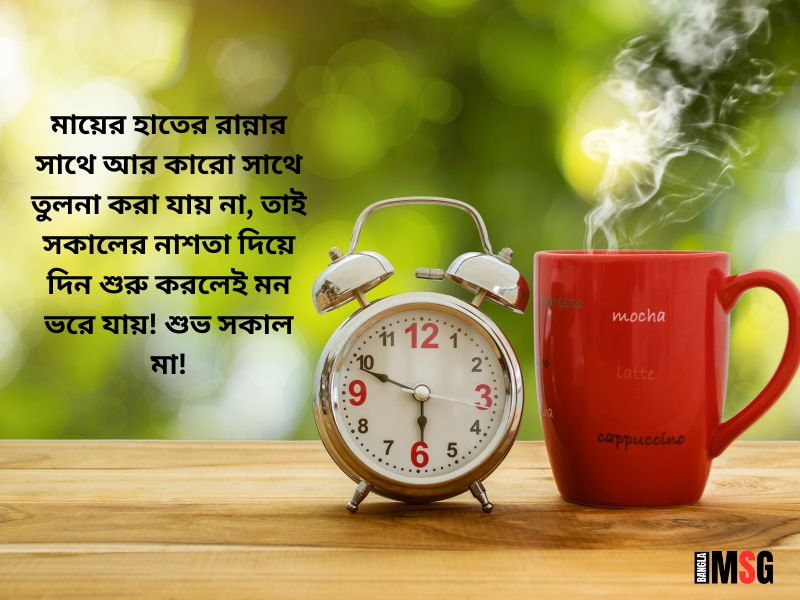 মাকে শুভ সকাল মেসেজ