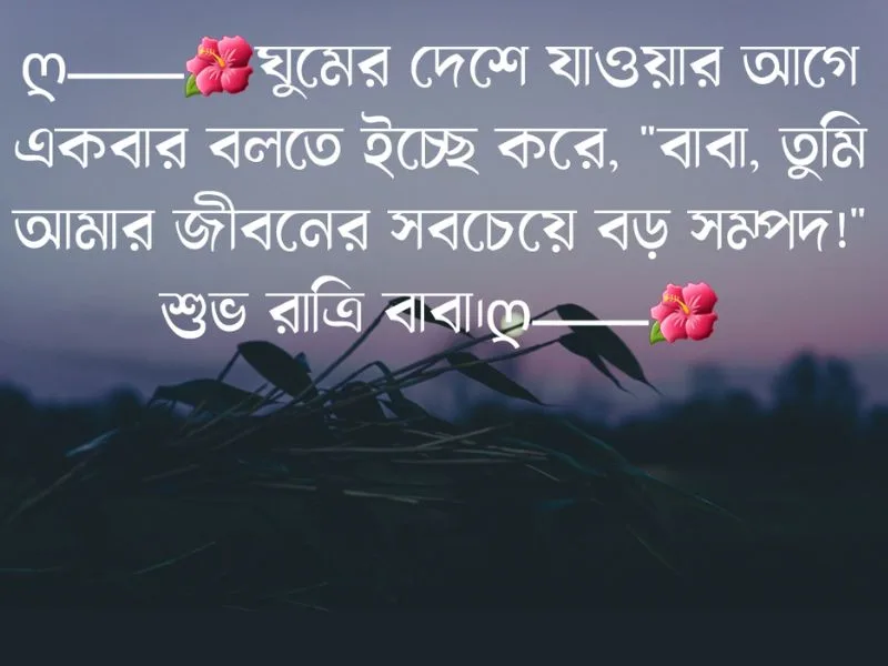 শুভ রাত্রি ভালো ছবি