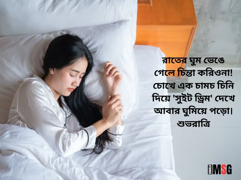 শুভ রাত্রি রোমান্টিক মেসেজ_শুভ রাত্রি ছবি সহ