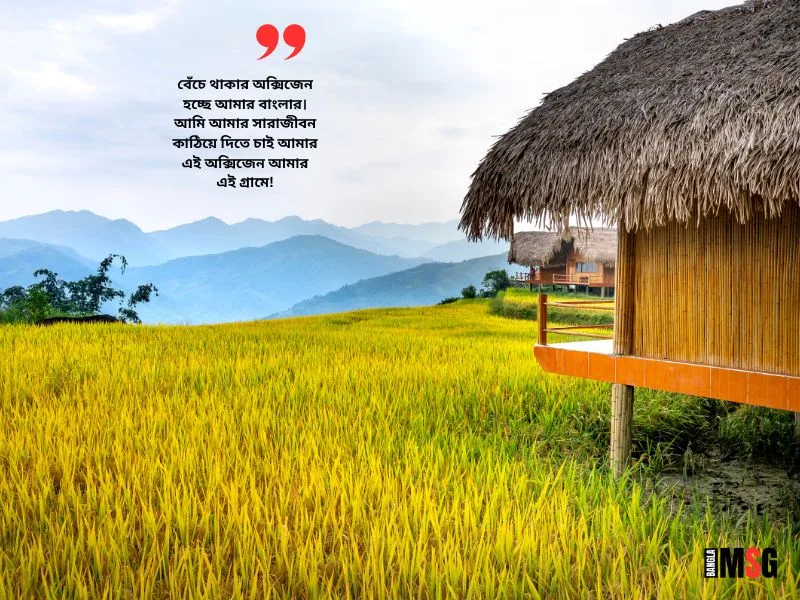 গ্রামের সৌন্দর্য নিয়ে ক্যাপশন