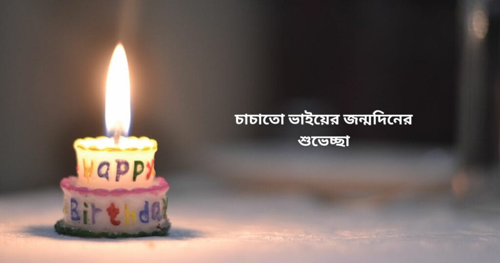 চাচাতো ভাইয়ের জন্মদিনের শুভেচ্ছা