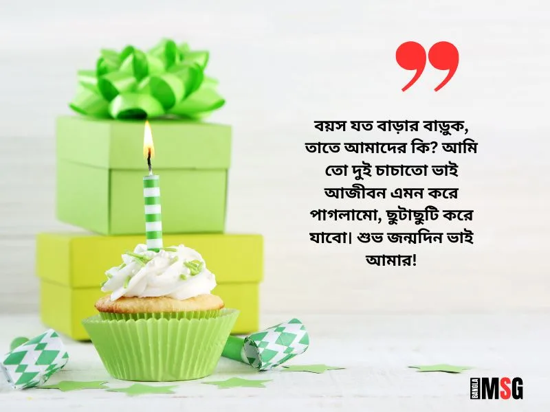 চাচাতো ভাইয়ের জন্মদিনের শুভেচ্ছা স্ট্যাটাস | Photo Source: Canva.com
