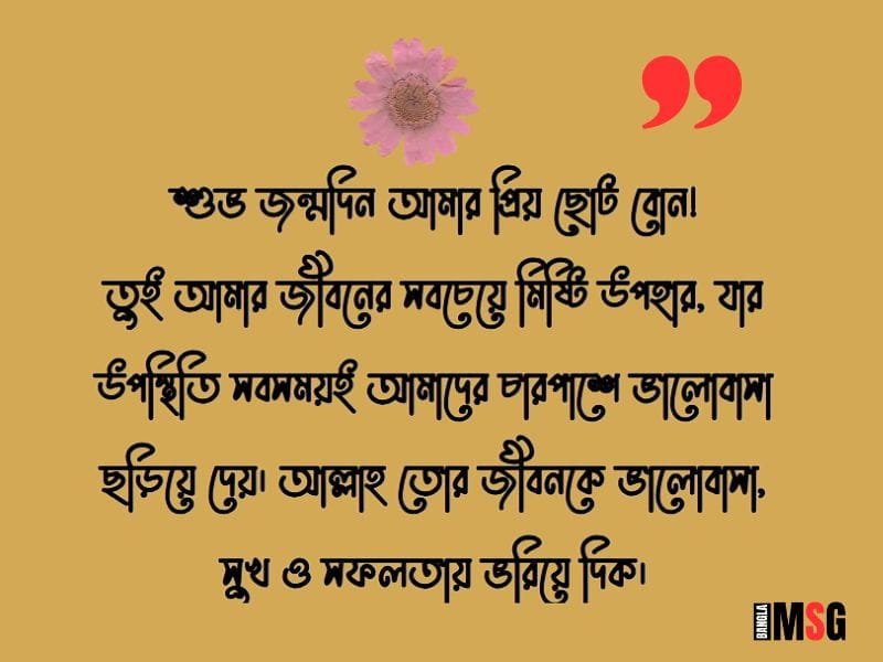 ছোট বোনের জন্মদিনের শুভেচ্ছা বার্তা