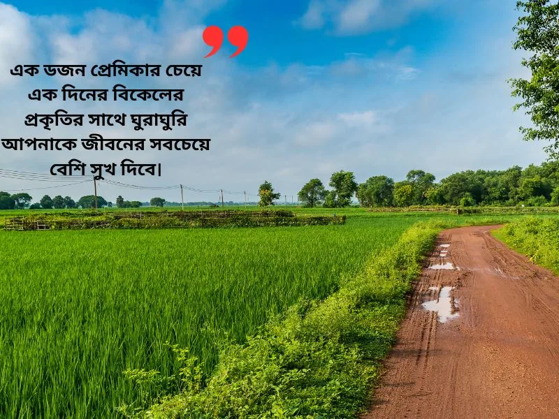 বিকেলের প্রকৃতি নিয়ে ক্যাপশন