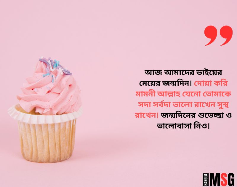 ভাইয়ের মেয়ের জন্মদিনের শুভেচ্ছা | Photo Source: Canva.com