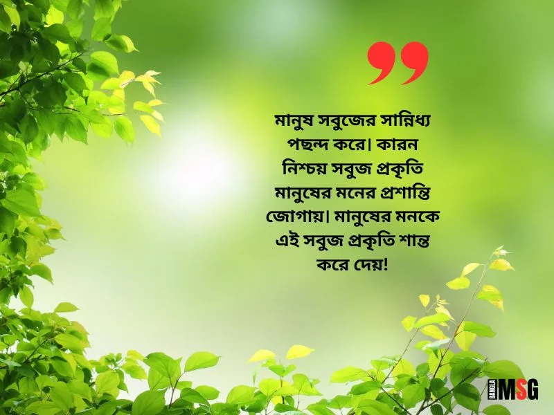 সবুজ প্রকৃতি নিয়ে কিছু কথা