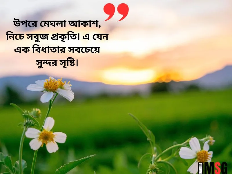 সবুজ প্রকৃতি নিয়ে ছন্দ