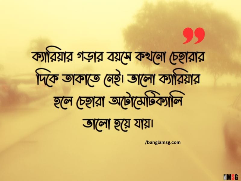 ক্যারিয়ার নিয়ে স্ট্যাটাস