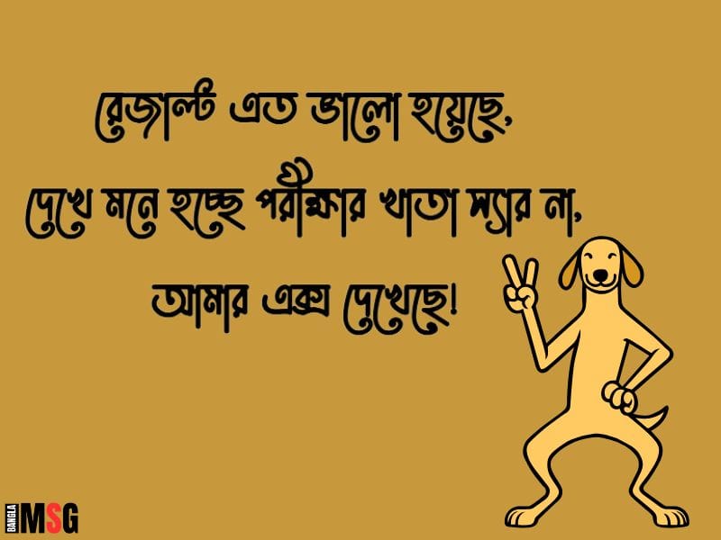 পরীক্ষার রেজাল্ট নিয়ে ফানি স্ট্যাটাস