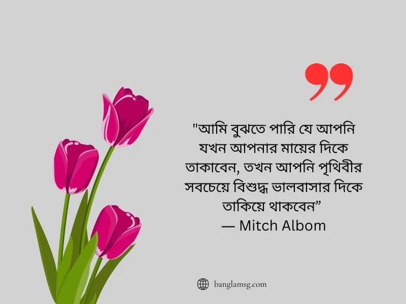 মাকে নিয়ে সেরা উক্তি_Mitch Albom