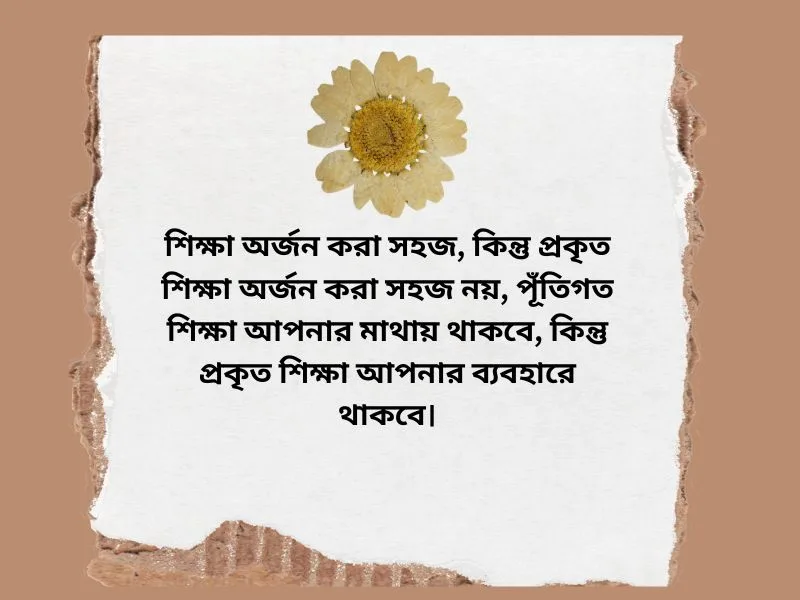 শিক্ষামূলক নতুন উক্তি