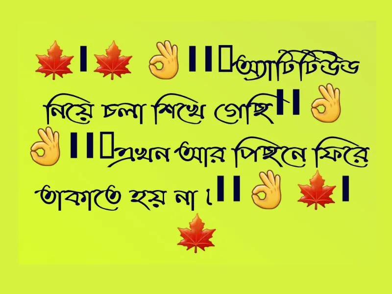 New অ্যাটিটিউড ক্যাপশন বাংলা