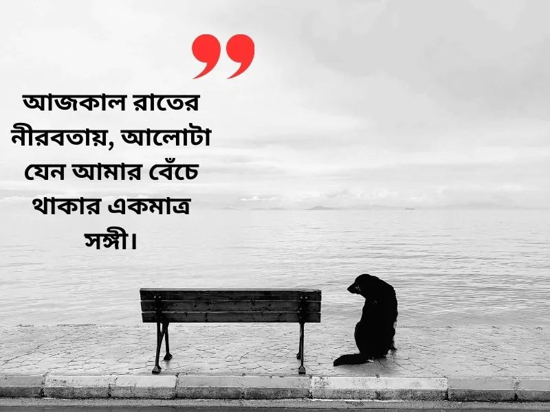 আলো ছায়া নিয়ে ক্যাপশন