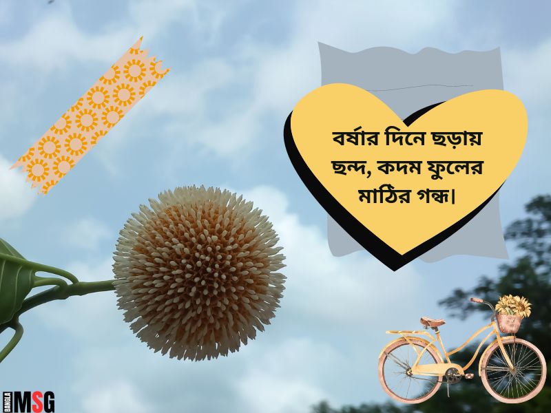 কদম ফুল নিয়ে ক্যাপশন