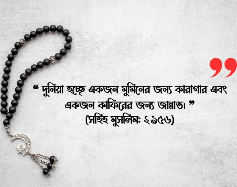 ছোট ছোট হাদিস পোস্ট