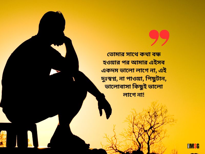 প্রিয় মানুষের সাথে কথা না বলার কষ্ট