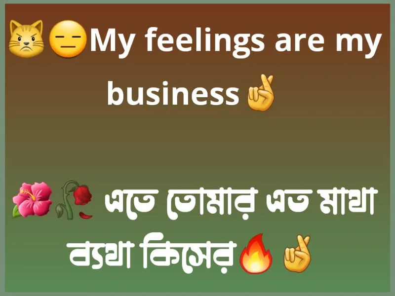 বাংলা attitude স্ট্যাটাস love