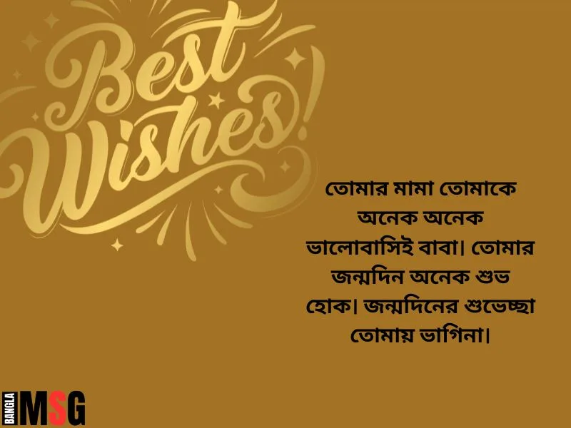 ভাগিনা জন্মদিনের শুভেচ্ছা স্ট্যাটাস