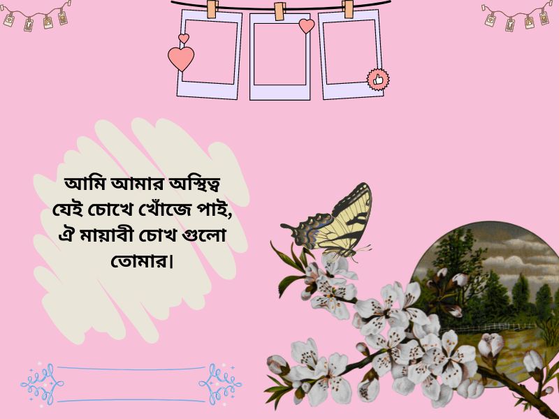 মেয়েদের চোখ নিয়ে প্রশংসা