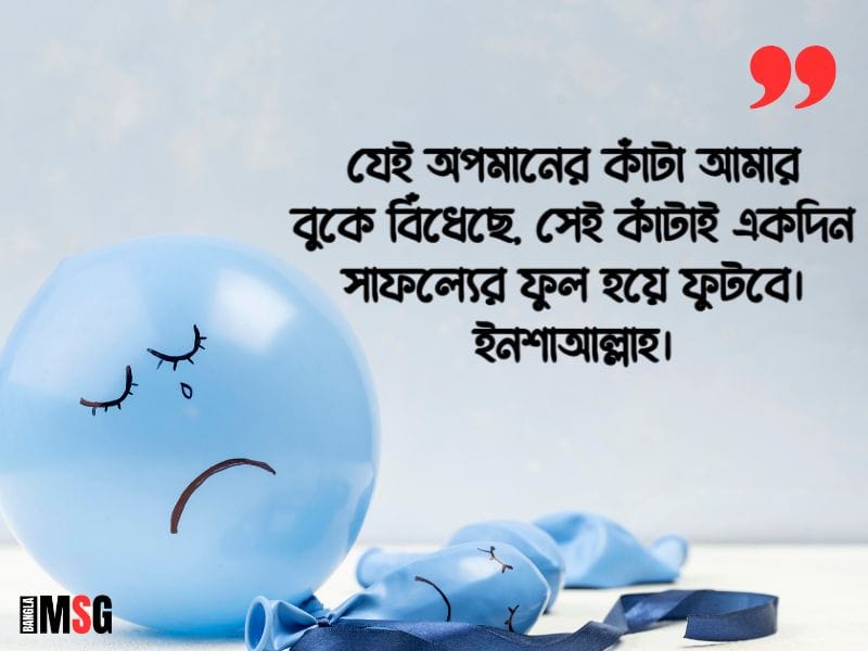 অপমান নিয়ে স্ট্যাটাস