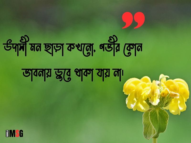 উদাসী মন নিয়ে উক্তি
