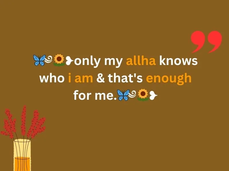 ফেসবুক বায়ো
