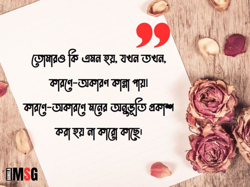 মনের অনুভূতি নিয়ে স্ট্যাটাস