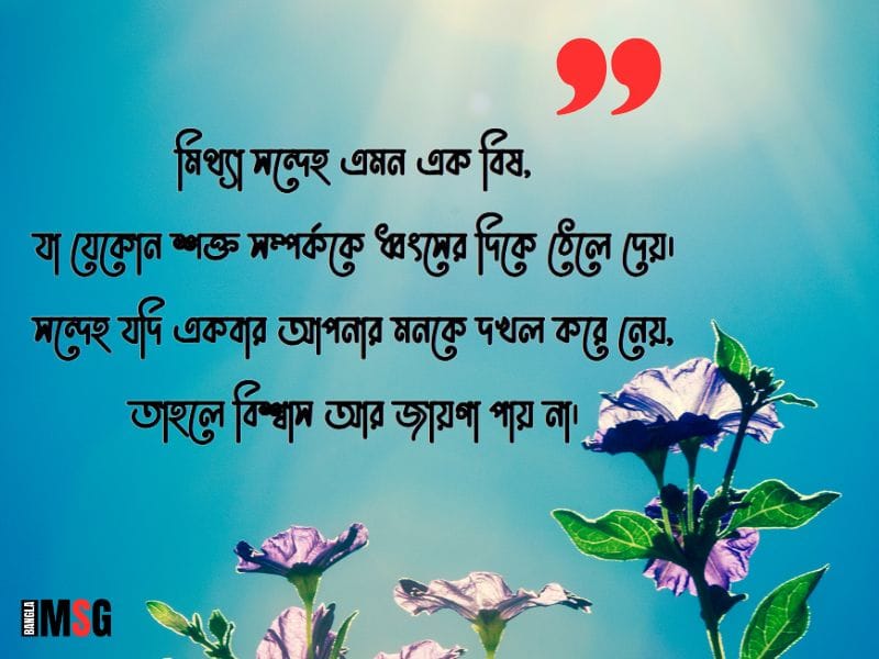 মিথ্যা সন্দেহ নিয়ে উক্তি