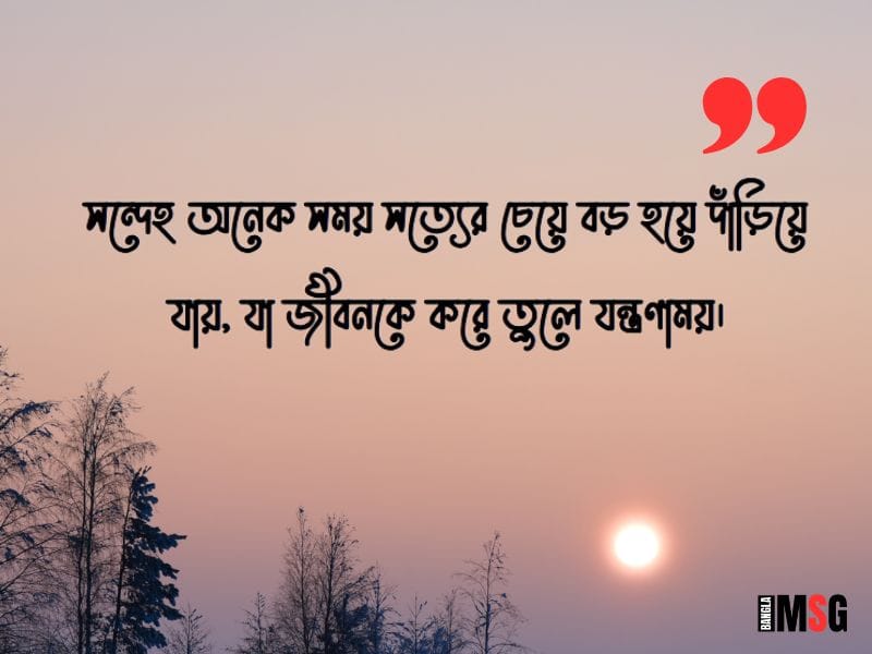 সন্দেহ নিয়ে স্ট্যাটাস