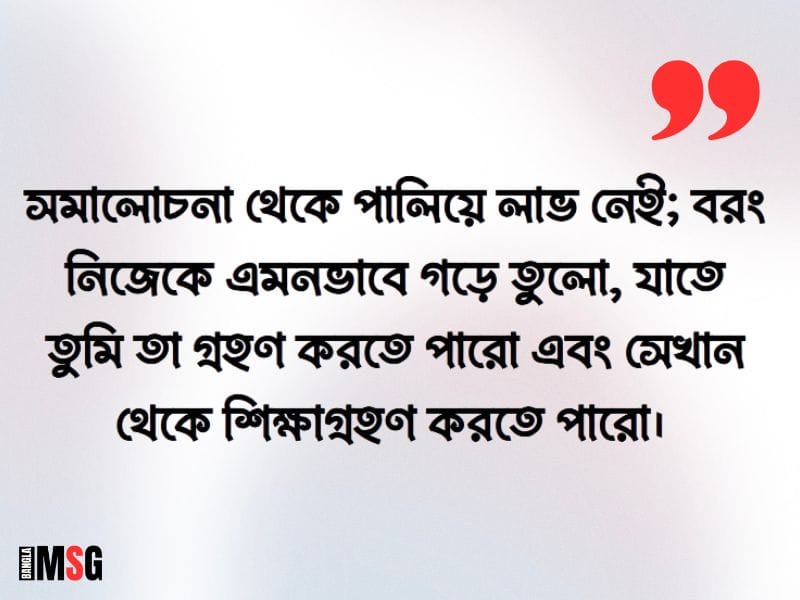 সমালোচনা নিয়ে উক্তি