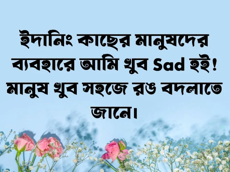 Sad ইমোশনাল স্ট্যাটাস
