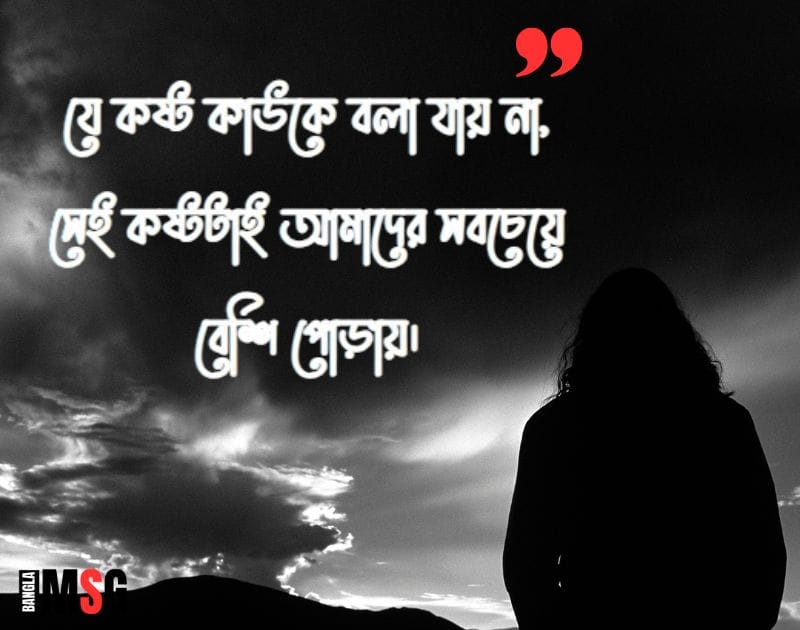 চাপা কষ্টের স্ট্যাটাস