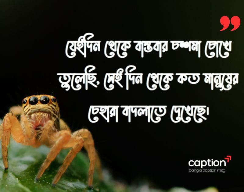 বাস্তব জীবন নিয়ে স্ট্যাটাস ফেসবুক