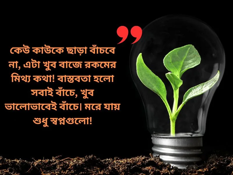 বাস্তব জীবন নিয়ে স্ট্যাটাস